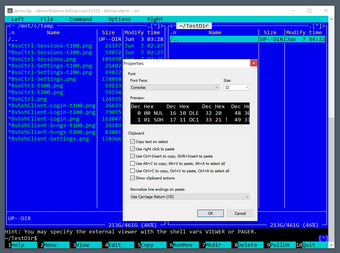 Bild 0 für Bitvise SSH Client