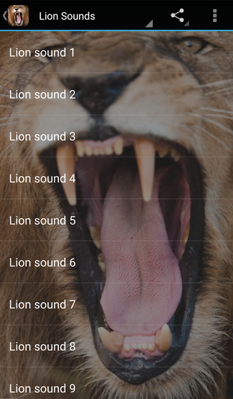 Lion Soundsの画像0