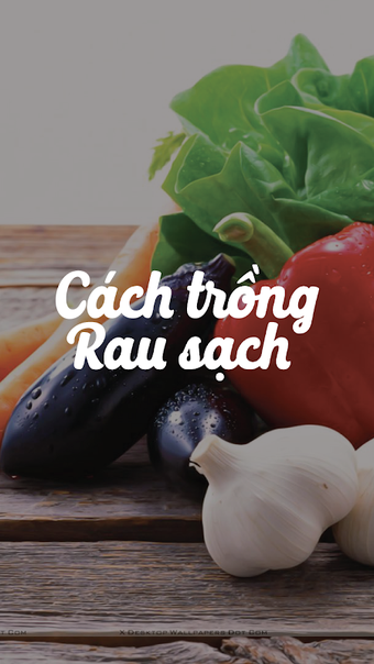 Obraz 0 dla Trồng rau sạch