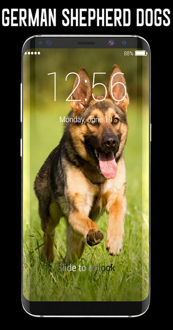 Obraz 0 dla German Shepherd Dog Lock …