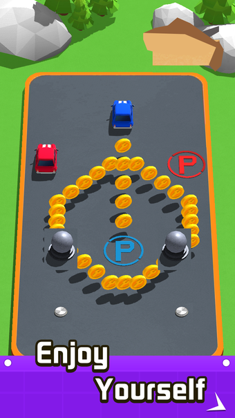 Immagine 0 per Parking Line