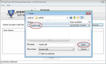 Immagine 6 per SQL Password Recovery Fre…
