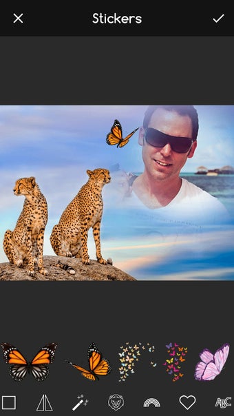 Animal Photo Editor Appの画像0
