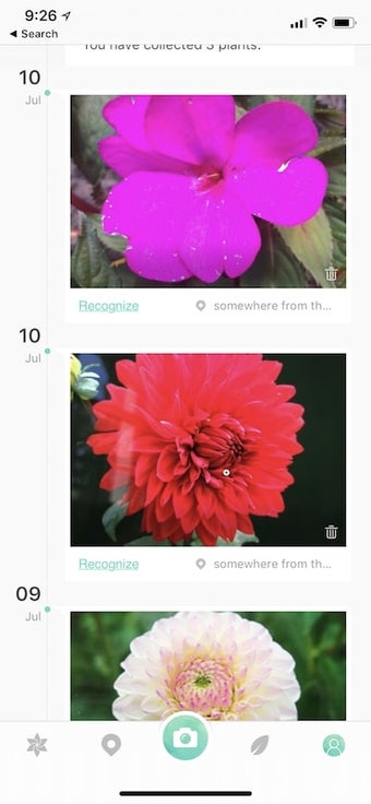 Imagen 2 para PictureThis - Flower Plan…