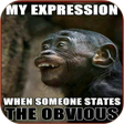 Icon of program: Hilarious Funny Memes