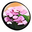 プログラムのアイコン: Realtime Landscaping Plus…