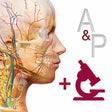 Ikona programu: Anatomy & Physiology: Int…